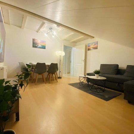 Deluxe Business Suite Mit Netflix Premium & Parkplatz, Zentral Zu Audi & Schwarz Gruppe With 2 Bedrooms Bad Friedrichshall Exterior foto