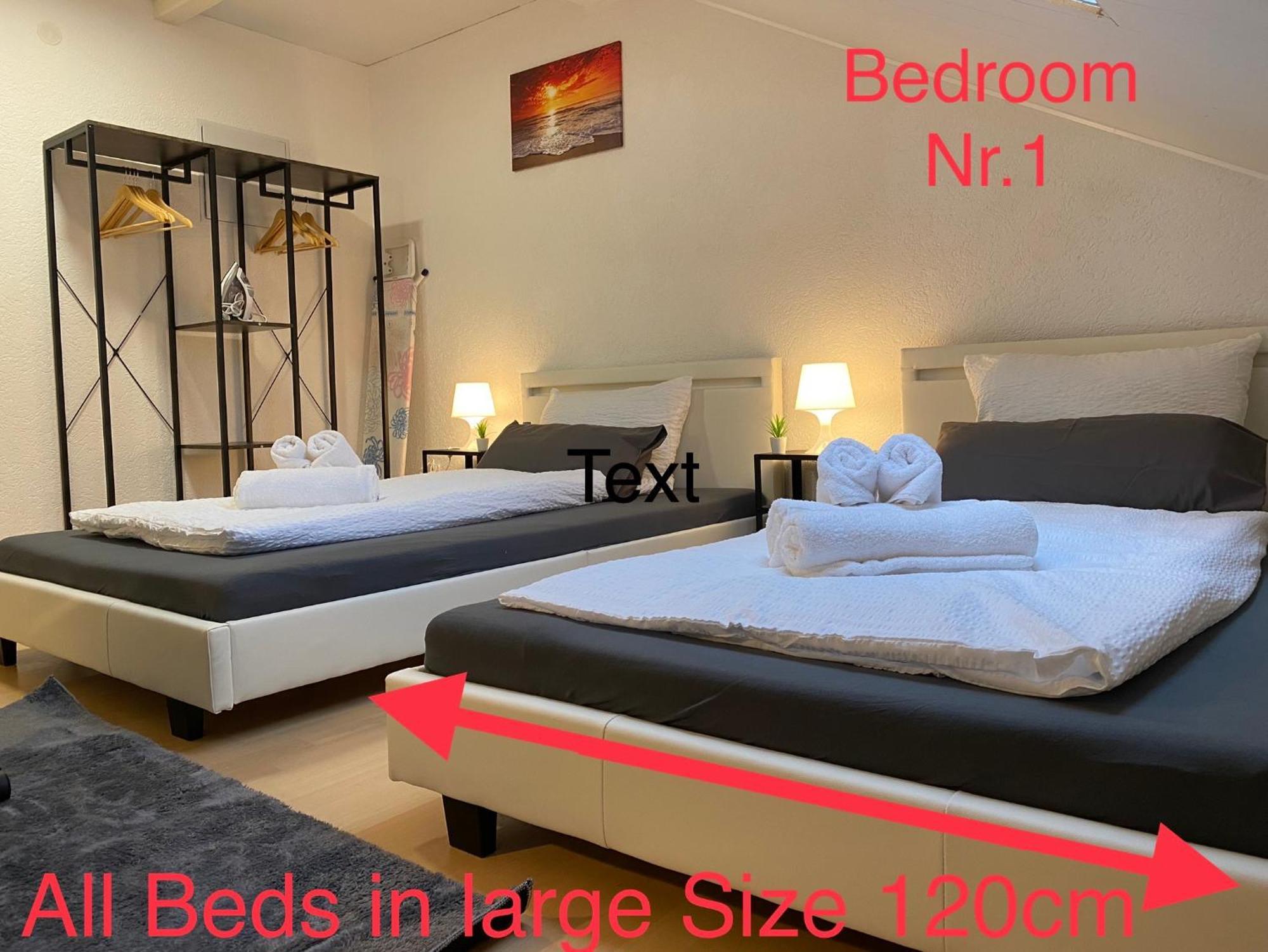 Deluxe Business Suite Mit Netflix Premium & Parkplatz, Zentral Zu Audi & Schwarz Gruppe With 2 Bedrooms Bad Friedrichshall Exterior foto